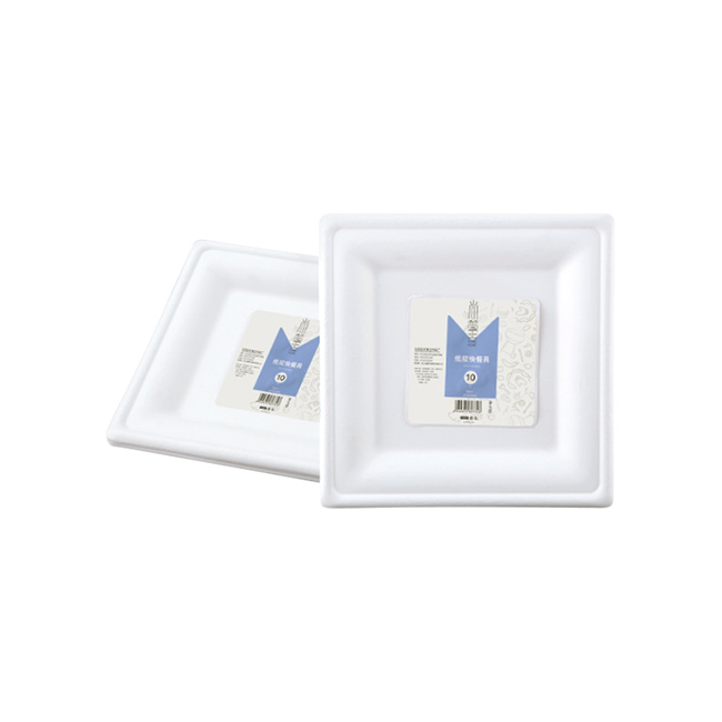 重庆0737 尚篁纸浆快餐具中方盘